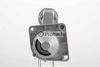 IR9631_1.JPG