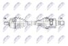 NPW-VV-158_9-WM.PNG