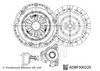 ADBP300220_50.JPG