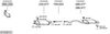 SYS28741.JPG