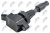 ECZ-HY-532_2-WM.JPG