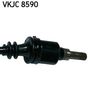 VKJC 8590_3.JPG