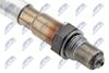 ESL-BM-018_2-WM.JPG