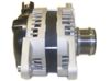 AG1455.JPG