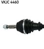 VKJC 4460_2.JPG