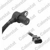 CS0031.JPG
