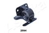 GOM-2594_3.JPG