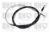 QH_BC4419.JPG