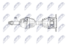 npw-ns-195_9-wm.PNG