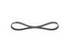 Bosch V-Ribbed Belt 1 987 946 125 (1987946125)