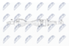 NPW-AR-022_9-WM.PNG