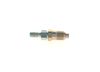 Bosch Nozzle and Holder Assembly 9 430 610 170