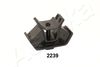 GOM-2239_1.JPG
