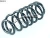 Пружина ходовой части CS Germany 14.201.011 (201011, 88201011)