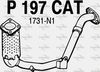 P197CAT.JPG