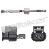 273-20877_5.JPG