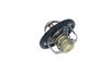 Termostats, Dzesēšanas šķidrums NRF NRF725061