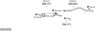 SYS14476.JPG