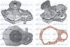 R125.BMP