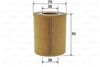 OIL FILTER_586609_01.JPG