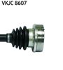 VKJC 8607_3.JPG