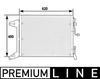 293238036.JPG