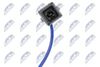 ecz-vw-018_7-wm.JPG