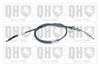 QH_BC3674.JPG