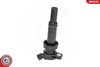 SKV_03SKV204_WM_04.JPG