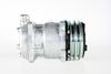 293123263.JPG