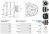 A0409(SEG)_256960.JPG