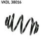 VKDL 38016.JPG