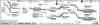 555000063.BMP