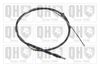 QH_BC4130.JPG