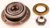 806006.BMP