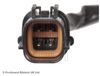 ADC47041_2.JPG