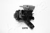 GOM-2370_3.JPG