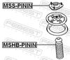 MSS-PININ_1.JPG