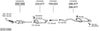 SYS11499.JPG