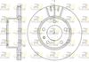 6317-10-MODEL.BMP