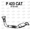 P423CAT.JPG