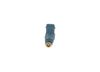 Bosch Fuel Injector 0280156304