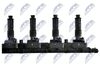 ECZ-PL-008_3-WM.JPG