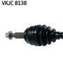 VKJC 8138_2.JPG