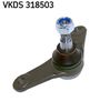 VKDS 318503.JPG