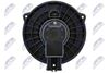 EWN-MS-005_5-WM.JPG