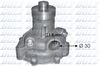 S239.BMP