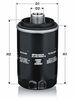 OL719_45.JPG