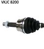 VKJC 8200_2.JPG