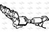 P234CAT.JPG